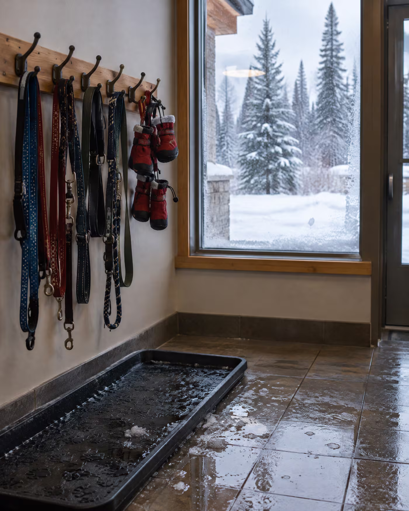 Dog leashes and red winter booties drying on hooks by the front door
