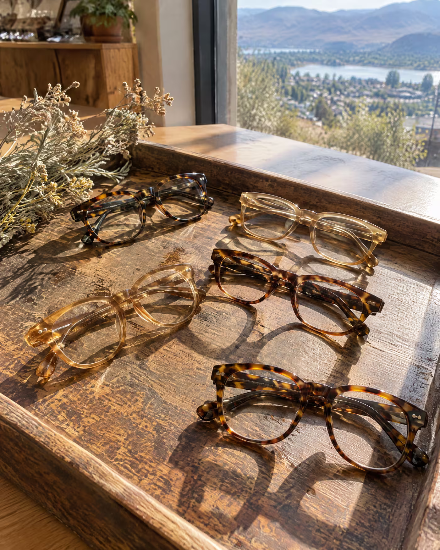 Tortoiseshell and honey acetate frames on a worn wooden tray in afternoon sun