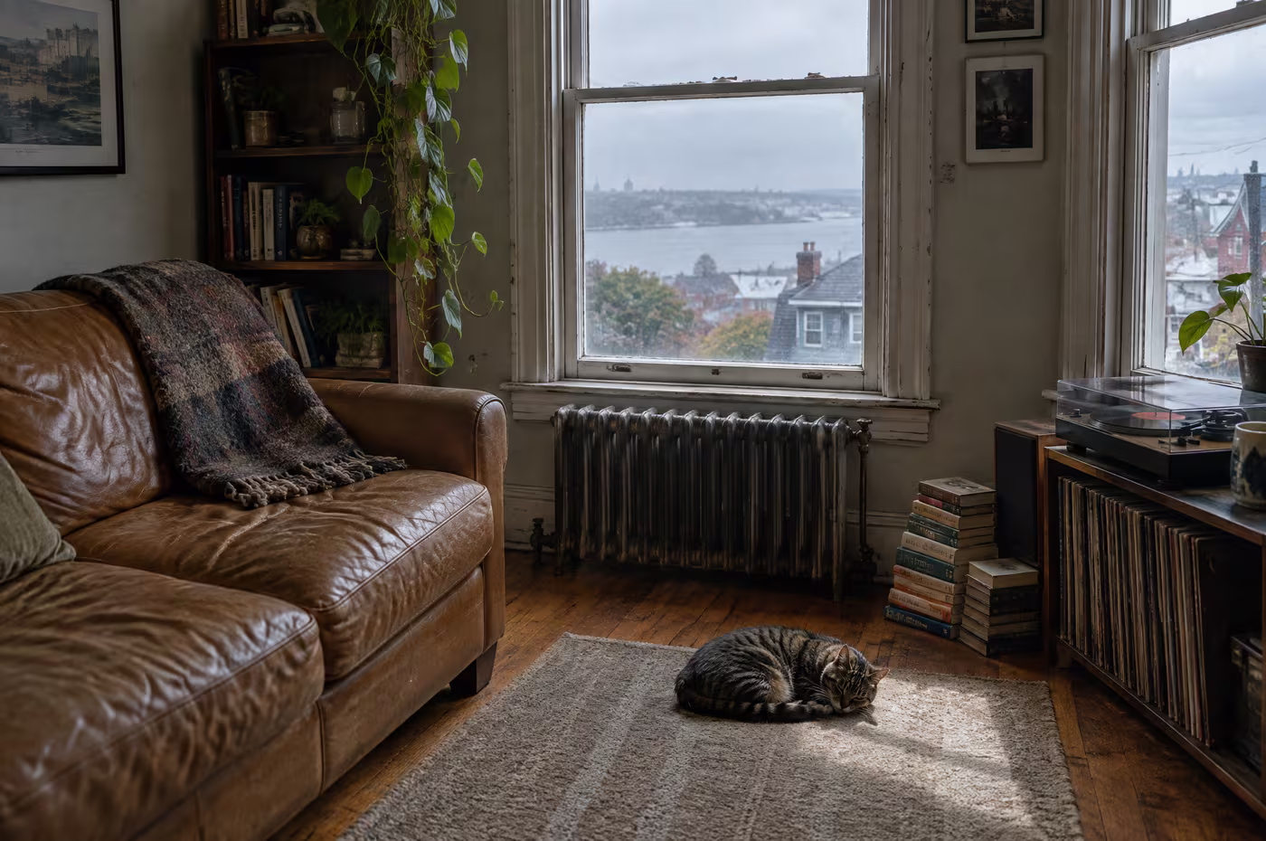 A tabby cat asleep on a freshly vacuumed rug beside a leather sofa and a radiator under a sash window